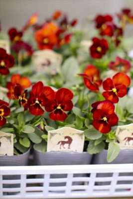 写真 2025-11-05 7 49 56_R_1