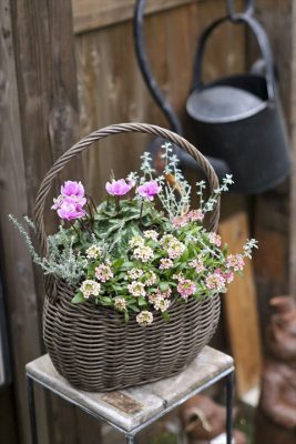 写真 2025-11-19 8 48 53_R_1