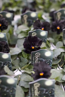 写真 2025-11-20 16 21 02_R_1