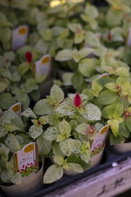 写真 2025-11-06 15 55 12_R_1