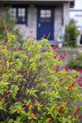 写真 2025-11-13 16 28 51_R_1