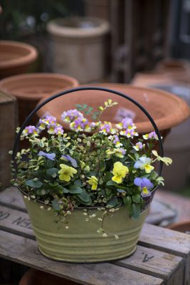 写真 2025-11-08 16 05 10_R_1