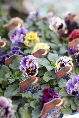 写真 2025-11-20 16 20 41_R_1