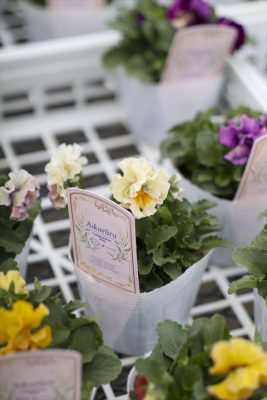 写真 2025-11-19 16 23 46_R_1