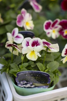 写真 2025-10-30 16 50 56_R_1