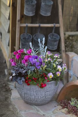 写真 2025-11-07 16 51 10_R_1