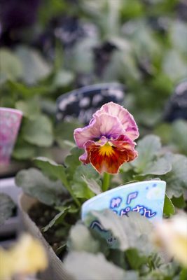 写真 2025-11-27 16 48 47_R_1