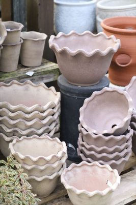 写真 2025-11-25 8 05 26_R_1