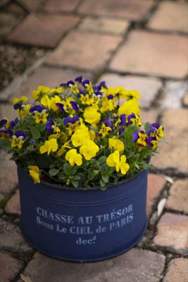 写真 2025-11-13 16 21 33_R_1