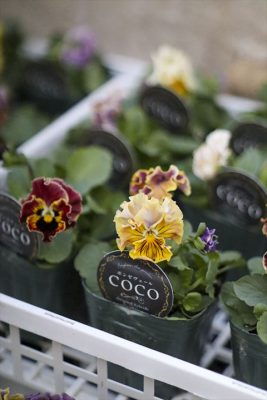 写真 2025-11-30 16 51 54_R_1