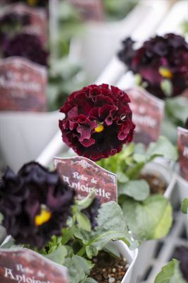 写真 2025-11-17 16 14 58_R_1