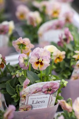 写真 2025-11-27 16 47 35_R_1