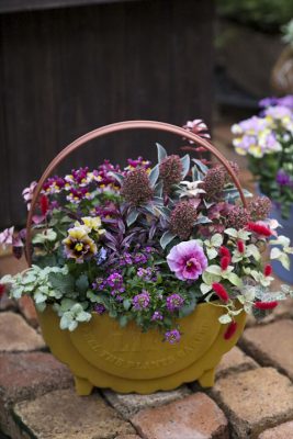 写真 2025-11-13 16 38 10_R_1