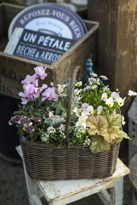 写真 2025-11-02 16 29 09_R_1