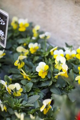 写真 2025-11-18 16 30 36_R_1