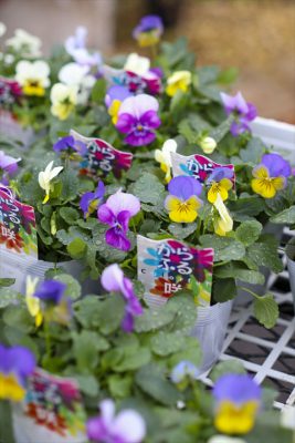 写真 2025-11-19 8 45 25_R_1