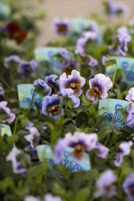 写真 2025-11-13 15 03 57_R_1