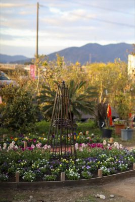 写真 2025-11-30 16 41 55_R_1