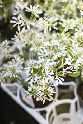 写真 2025-11-01 16 45 36_R_1