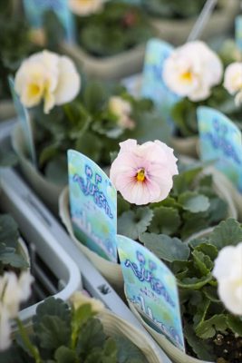 写真 2025-11-21 16 56 31_R_1