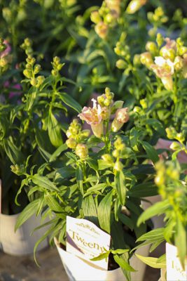 写真 2025-11-01 16 44 35_R_1