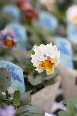 写真 2025-11-27 16 48 39_R_1