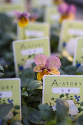 写真 2025-11-21 16 12 31_R_1