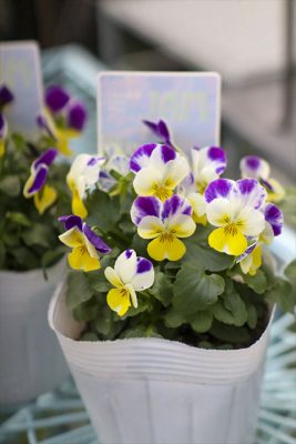 写真 2025-11-19 15 45 57_R_1