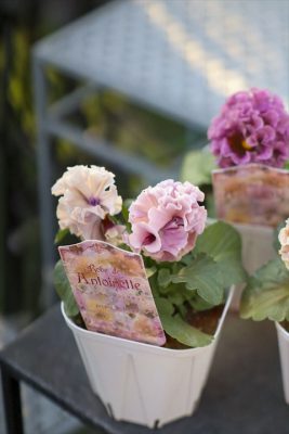 写真 2025-11-07 16 07 43_R_1