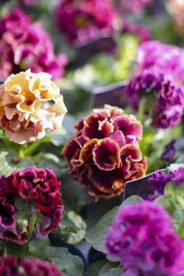 写真 2025-11-24 9 55 47_R_1