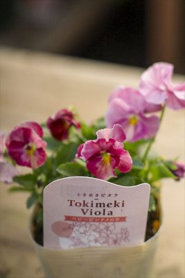 写真 2025-11-06 15 50 50_R_1