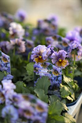 写真 2025-11-13 16 31 26_R_1