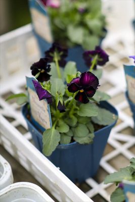 写真 2025-11-02 13 03 41_R_1