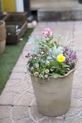 写真 2025-11-20 16 17 14_R_1