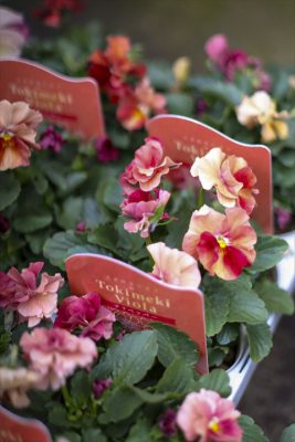 写真 2025-11-13 15 09 21_R_1