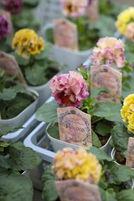 写真 2025-11-02 13 03 23_R_1