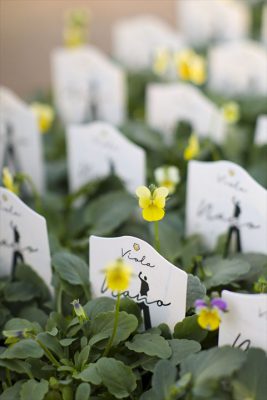 写真 2025-11-21 16 13 38_R_1