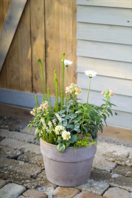 写真 2025-11-02 16 35 49_R_1