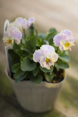 写真 2025-11-06 15 51 23_R_1