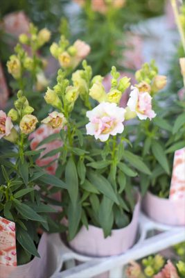 写真 2025-11-01 16 44 58_R_1