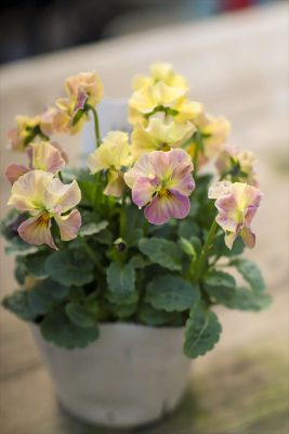 写真 2025-11-06 15 48 37_R_1