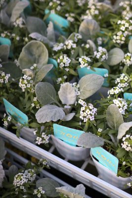 写真 2025-11-07 16 15 04_R_1