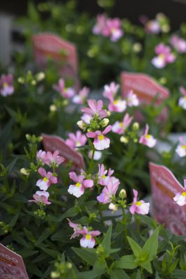 写真 2025-11-13 15 20 24_R_1