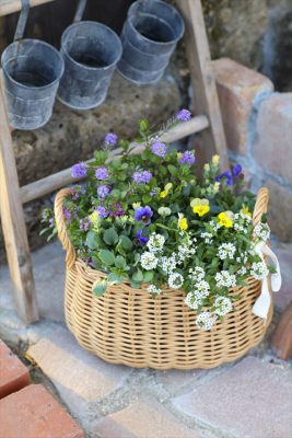 写真 2025-11-16 16 36 23_R_1