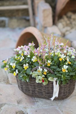 写真 2025-11-16 16 45 40_R_1