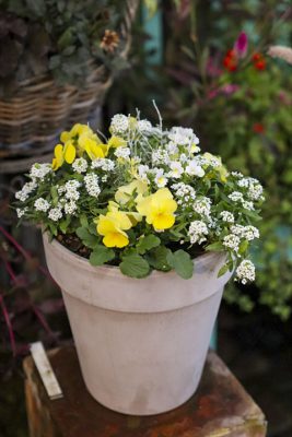 写真 2025-11-14 17 15 32_R_1