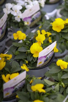 写真 2025-11-08 16 35 04_R_1