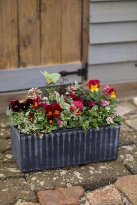 写真 2025-11-13 16 28 12_R_1