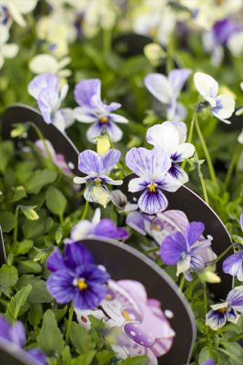 写真 2025-11-24 15 41 13_R_1