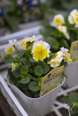 写真 2025-11-13 14 59 39_R_1